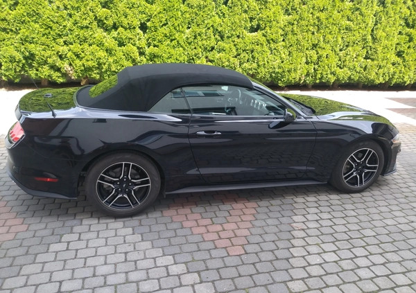 Ford Mustang cena 93000 przebieg: 100000, rok produkcji 2018 z Mogilno małe 326